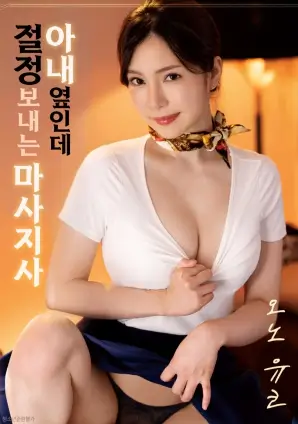 蝙蝠侠黑暗骑士 欧美大片海报